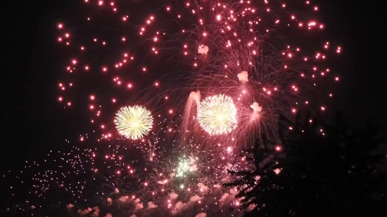 3d Video Background, Firework, Explosive, Night, Celebration, Holiday