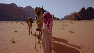 Animated Backgrounds For Video, Camel, Ungulate, Desert, Sand, Travel