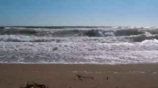 Best Video Stock, Ocean, Sea, Water, Beach, Shoreline