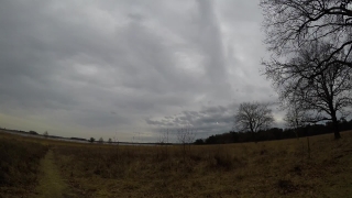Particles Stock Video, Sky, Atmosphere, Landscape, Field, Tree