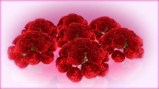 Videos For Website Background, Bouquet, Flower Arrangement, Arrangement, Decoration, Rose