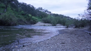 Without Copyright Video Website, River, Stream, Landscape, Water, Body Of Water